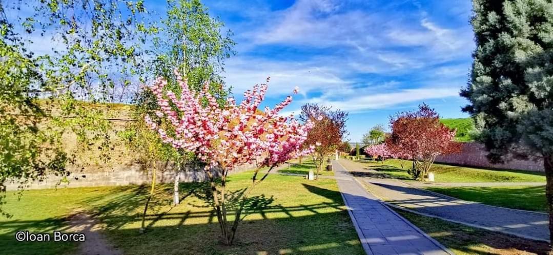The View1 Apartment Alba Iulia Bagian luar foto
